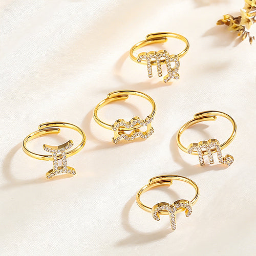 12 Constellations Stainless Steel Adjustable Ring - Astrology Themed Jewelry Gift