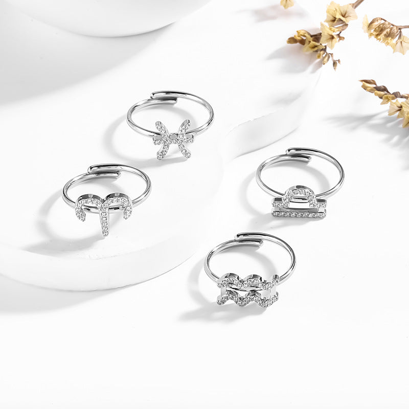 12 Constellations Stainless Steel Adjustable Ring - Astrology Themed Jewelry Gift